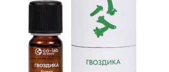 Эфирное масло гвоздики: свойства, применение и выбор
