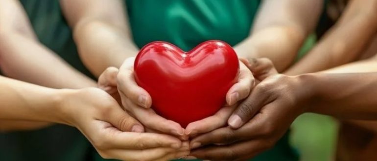 Благотворительный фонд помощи ДНР и ЛНР: какие виды помощи востребованы больше всего сегодня