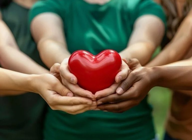 Благотворительный фонд помощи ДНР и ЛНР: какие виды помощи востребованы больше всего сегодня